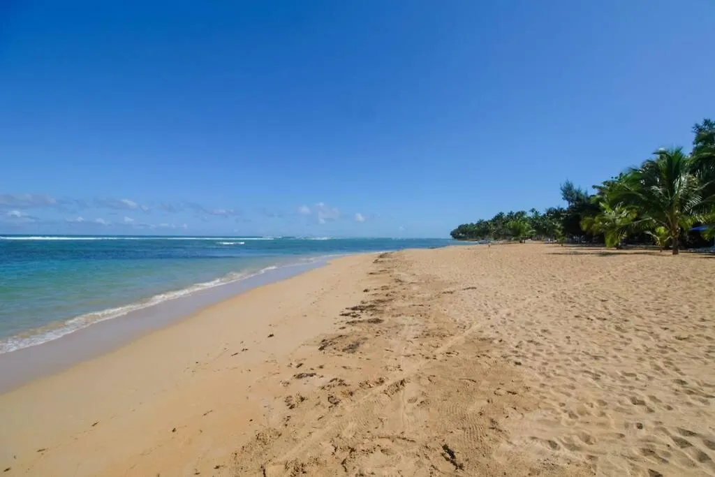 Palmeraie Terrenas Beach Apartamento Las Terrenas Apartment